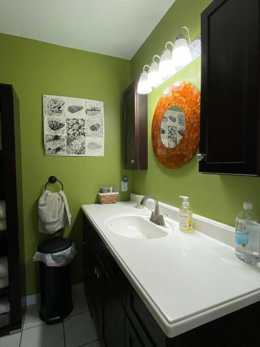 One Bed Suite Near Beaches And Downtown Sarasota Exteriör bild