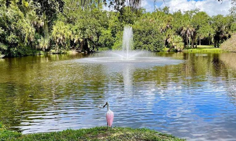 One Bed Suite Near Beaches And Downtown Sarasota Exteriör bild